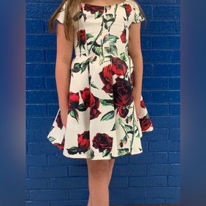Beautiful Rose Dress